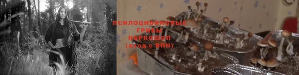 гидропоника Вяземский