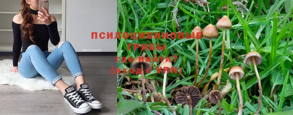 мескалин Вязьма