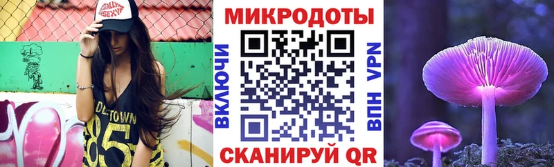 купить   Елец  Псилоцибиновые грибы Magic Shrooms 