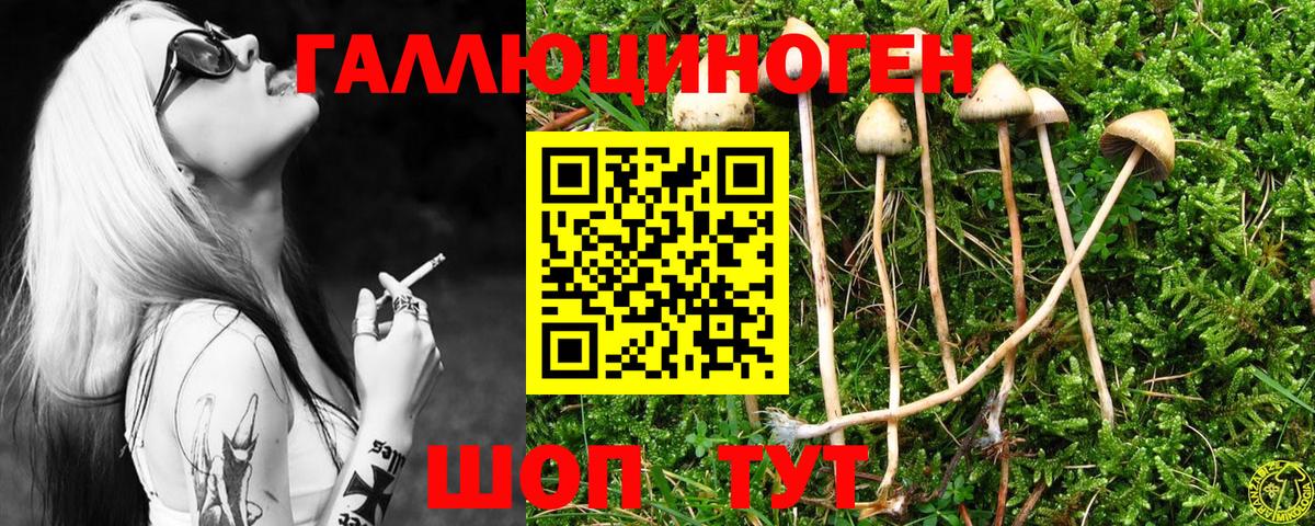 Галлюциногенные грибы Magic Shrooms Елец