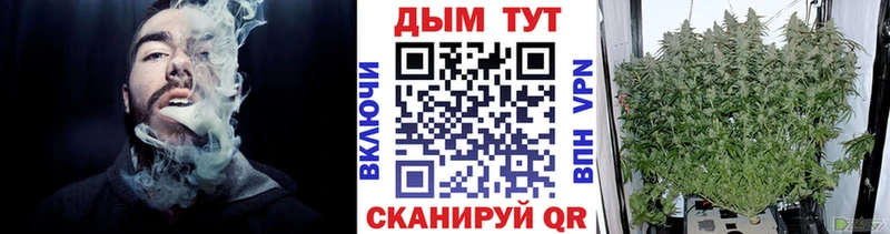 купить наркотики цена  гидра как войти  Бошки марихуана SATIVA & INDICA  Елец 
